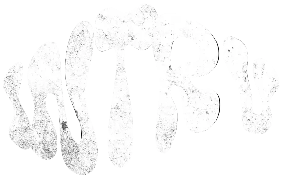 White 'INTROVERT' logo on a black background